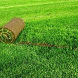 Roll uređaj za travnjak