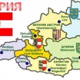 Bečki plavi zečevi - kakva je to pasmina i zašto je izuzetna