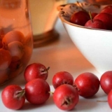 Vino od gloga kod kuće