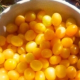 Vino od žute šljive kod kuće