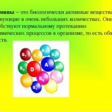 Vitaminizirana prehrana za kuniće - osnova njihovog zdravlja