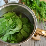 Ukusni recepti od koprive