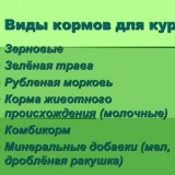 Sve o uradi sam hrani za kokoši nesilice - proporcije