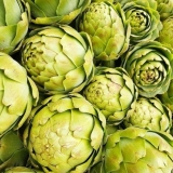 Uzgoj artičoke iz sjemena