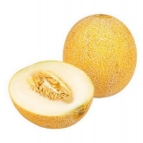 Uzgajanje dinja u sibiru na otvorenom polju