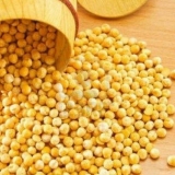 Uzgoj graška u otvorenom tlu