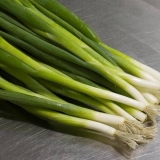 Uzgoj luka na peru kod kuće