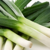 Uzgoj praziluka u sibiru