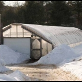 Uzgoj krastavaca u grijanom stakleniku zimi