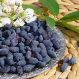 Berba orlovih noktiju za zimu bez kuhanja: recepti sa šećerom