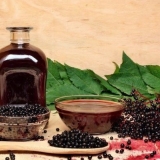 Smrznuta ptičja trešnja