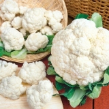 Zamrzavanje karfiola za zimu kod kuće