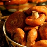 Soljenje pečuraka na vruć način: sa belim lukom, semenkama gorušice, na ruskom