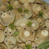 Soljenje suhih gljiva (bijeli podgruzdkov) kod kuće za zimu