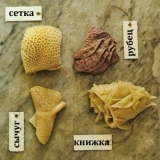 Začepljenje knjiga kod goveda: fotografije, simptomi, liječenje