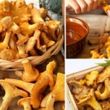 Pržene lisičarke za zimu: recepti za kuhanje