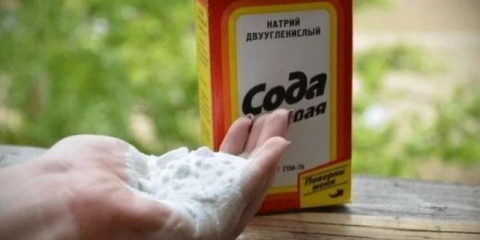 10 Načina da koristite sodu bikarbonu u bašti