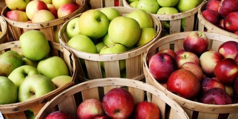 45 Najboljih sorti ljetnih, jesenjih i zimskih jabuka