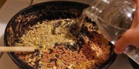 5 Razloga zašto kokoške kljucaju jaja