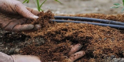 5 Vrste organskih đubriva, njihove karakteristike