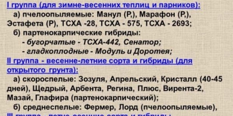 7 Najboljih sorti krastavaca za kiseljenje i konzerviranje - koje kupiti za otvoreno tlo