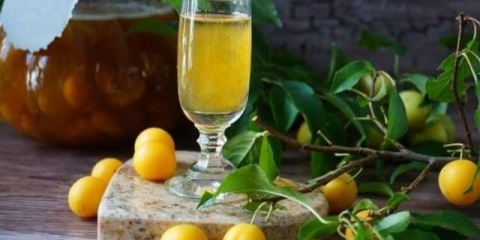 8 Recepata za domaće vino od višanja