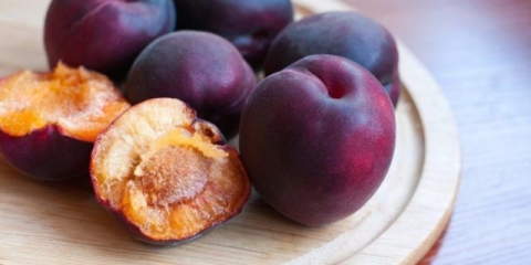 Crni princ marelice: opis, fotografija, sadnja i njega