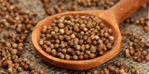 Adjika od tikvica za zimu: 6 recepata