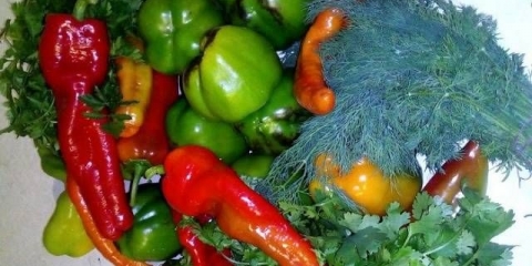 Adjika od paradajz paste za zimu