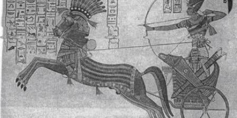 Akhal-teke pasmina konja