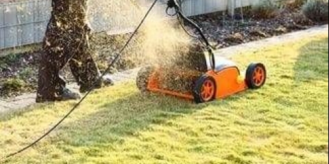 Aeratori travnjaka: mehanički, električni i benzinski