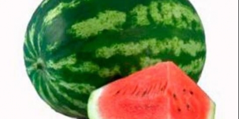 Lubenica ili pvp proizvođač