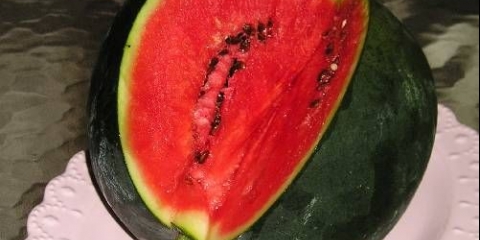 Lubenica šećerna beba: uzgoj i njega