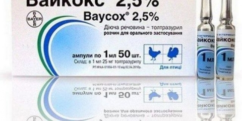 Baycox - upute za upotrebu za zečeve