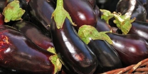 Prženi patlidžan kao pečurke - recept