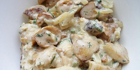 Bijele gljive u kremi: recepti sa fotografijama