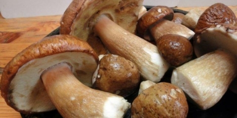 Bijele kisele gljive: recepti za zimu sa fotografijama