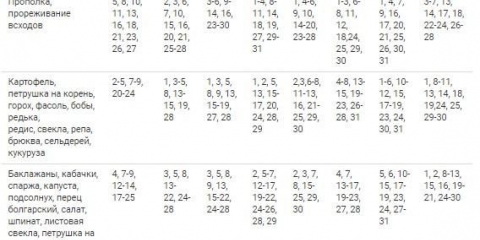 Kada sijati šargarepu po lunarnom kalendaru 2021