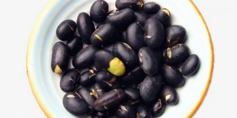 Ruski crni pasulj (uz uzgoj)