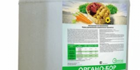 Bor za paradajz u stakleniku i na otvorenom polju: prskanje, primjena