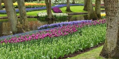 Granične trajnice koje cvjetaju cijelo ljeto