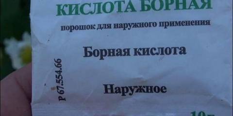 Borna kiselina za jagode