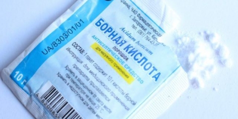 Borna kiselina u vrtu: recepti za hranjenje, preradu biljaka i cvijeća