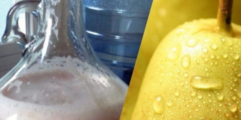 Braga od krušaka za mjesečinu