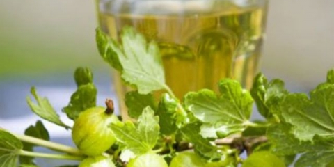 Kaša od ogrozda za mjesečinu