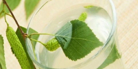 Braga na soku od breze: recepti, proporcije za mjesečinu