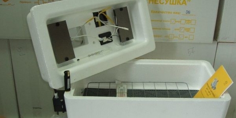 Kućni inkubator kokoš nesilica: upute i sorte
