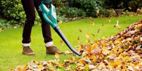 Bosch vrtni usisivač: pregled modela, recenzije