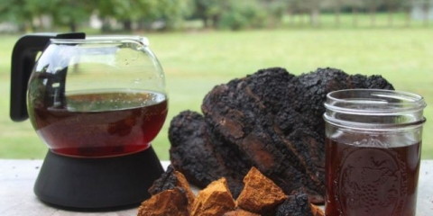 Čaga za kosu: recenzije i recepti