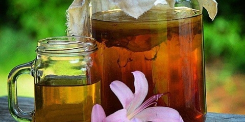 Kombucha za mršavljenje: recenzije doktora i gubitak težine, efikasnost, recepti